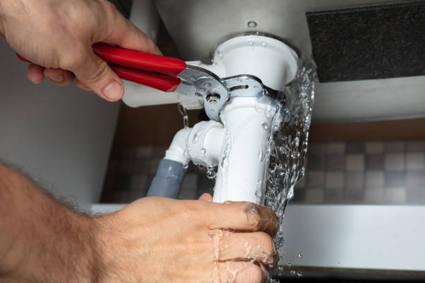  Oldsmar, FL Water damage restoration Pros