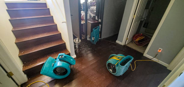 Fire Damage Restoration in Oldsmar, FL